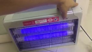 Đèn bắt muỗi Điện Quang ĐQ EML06L (380 x 65 x 250mm) - Hàng chính hãng Đèn Bắt Muỗi Cho Không Gian Trong Nhà Đèn Bắt Muỗi Bảo Hành 6 Tháng - Lazada