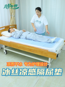 Waterproof Bed Sheet Pelapik Tilam Mattress Protector Urine Waterproof Ice Silk Mattress Elderly Incontinence Pad