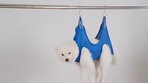 Pet Grooming Hammock - Hammock Assistant Untuk PetS Nail Cutting Grooming Hammock Kucing Grooming Bag