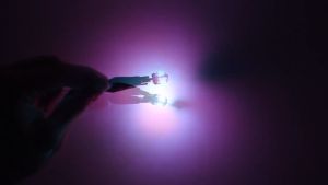 MODIFIKASIMARKET - Lampu LED T10 CANbus 8 Titik SMD 5630 W5W Lampu Senja Kota Plat Kabin