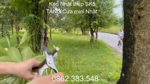 MUA 1 KÉO CẮT TẶNG NGAY 1 CƯA MINI NHẬT -  Kéo cắt cành tỉa cành Nhật thép trắng chống gỉ siêu xịn chuyên cắt cành tỉa cành cây cảnh bonsai