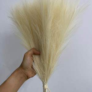 Daun bulu pampas rayung dekorasi wedding dried import rustic hiasan meja