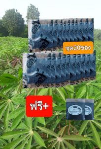 ผงดำ KGA ฮิวมิคไออน(1ชุดมี10ซอง)