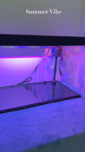 SOBO Aquarium 2FT Tank Full Set Crystal Clear Glass with LED Light GLASS KACA ES-480F/ES-580F