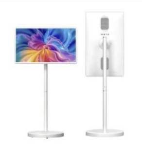 Portable Touchscreen with Camera