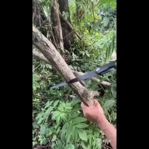 KS เลื่อยมือ เหล็กSK9 ขนาดใหญ่พิเศษใบมีด35ซม. เลื่อยพับได้ พร้อมล็อคอย่างปลอดภัย เลื่อยตัดกิ่งไม้ เลื่อยพับได้ เลื่อยตัดไม้ เลื่อยพกพา สำหรับตัดกิ่งไม้