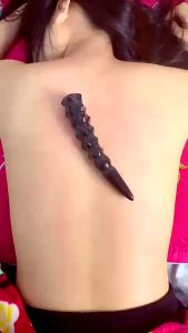 Dụng Cụ Massage Chày Xương Rồng Diện Chẩn Thân Tâm