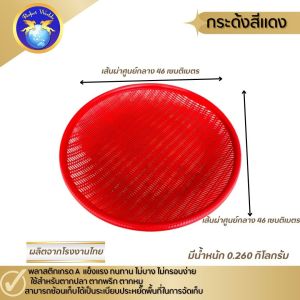 กระด้ง 1เซต10ชิ้น กระด้งพลาสติก กระด้งตากปลา กระจาดตากปลา ตากหมู -Perfect Worlds