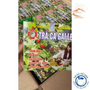 Trà Cà gai leo túi lọc Đông Y Dưỡng Sinh Đường (Hộp 50 túi) giúp thanh nhiệt mát gan dưỡng tâm an thần