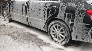 Bio 20 - Dung dịch rửa xe không chạm - Nước rửa xe bọt tuyết - Ekokemika