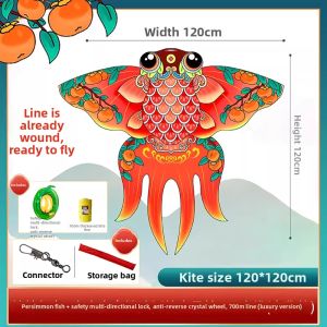 SPACECYCLE | Traditional Style Goldfish Easy-to-Fly Kite