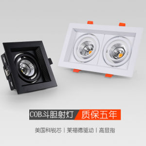 Bold Double Headed LED Spotlight Embedded Ceiling Light Square Grille Lamp Home Decorative Lighting Fixture Kitchen Bathroom Bedroom