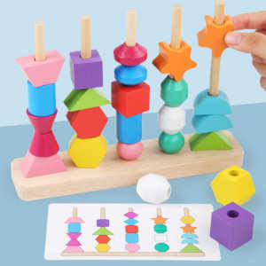 Montessori Focus Training Educational Toys