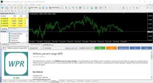 ชื่อของโปรแกรม: โปรแกรมระบบเทรดอัตโนมัติ Williams percent range WPR MT4 EA