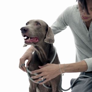 Gotefriend Adjustable Harness Leash (Steel) - Pet | Gentle | Tali Harness Haiwan | Selamat | Selesa