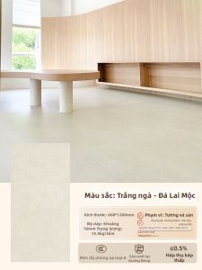 BEIQIVI | Gạch Lát Sàn Chống Trượt Mờ 60x120cm