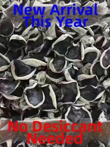 Wild Northeast Black Fungus 500g