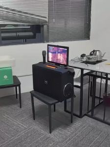 soaiy | Outdoor Karaoke Loudspeaker Video Song Selection Large Volume