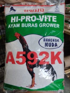 hi pro vite 592 pakan ayam konsentrat untuk ayam bangkok muda