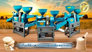 PAYOO เครื่องสีข้าว และ เครื่องบด แบบตะแกรงร่อน มอเตอร์ 3 แรง ใช้คันโยกสลับสายพาน 2in1 ยี่ห้อ พายุ