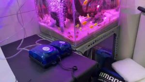 Máy Sủi Oxy Bể Cá 2 Vòi-348A / 1 Vòi-248A - Sục Khí Oxy Mini Cho Hồ Cá Kết Nối USB Siêu Nhẹ SHIWA