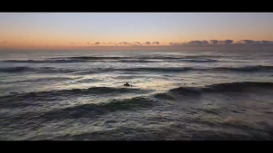 สมองและหัวใจ: Healthy Care Fish Oil 1000 mg 400 แคปซูล