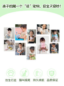 Electric Toy Cat Walks And Meows Realistic Girls Children Sound Producing Moving Baby Kittens Small Animals with Voice