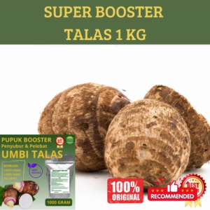 Pupuk Umbi Talas 1 KG Supaya Cepat Berbuah Pupuk Umbi Talas Subur Berbuah Pupuk Cepat Besar