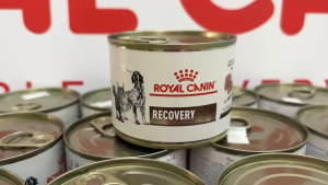 (11/01/26) Royal Canin Recovery 195g อาหารกระป๋องฟื้นฟูสุขภาพ สำหรับสุนัขและแมว