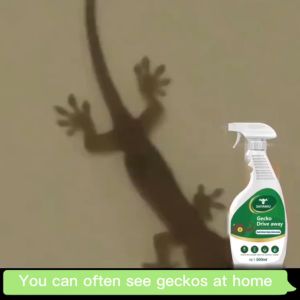10 years no gecko Lizard repellent spray Lizard Killer spray Lizard spray Lizards disappeared overnight Plant Extract Safely repel geckos Durable and gentle formula harmless to humans and animals Double effect of mosquito prevention 壁虎驱赶剂