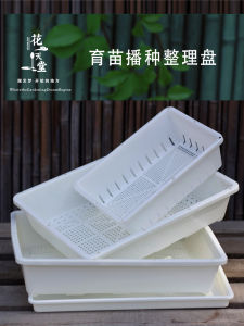 Succulent Plant Seedling Leaf More than Strip Specifications Florals Fruit and Vegetable Seeding Stuffy Plate Thickened Plastic Flower Pot Storage Basket