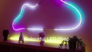 5V RGB+IC Neon Strip Light 1M 2M 3M 5M 10M USB Waterproof Flexible LED Strip Lights With Bluetooth Remote Control For Home Decor