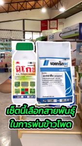 500ml นิโคซัลฟูรอน กำจัดวัชพืช หญ้าในไร่ข้าวโพด หญ้าฟ่างผี หญ้าโขย่ง หญ้าปากควาย ฉีดสายได้ในพันธ์ข้าวโพด