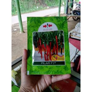 Bibit Cabe Besar Merah Benih Cabai PILAR F1 Cap Panah Merah 1.500 butir