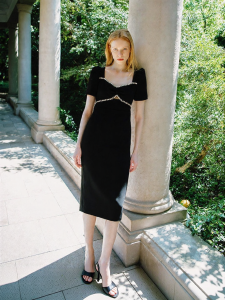 Elegant and Fitted Luxurious Dress