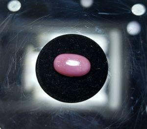 260 (1) L Đá SAPHIA (THiên NHIÊN) không xử lý [ chi tiết duới phần mô tả]