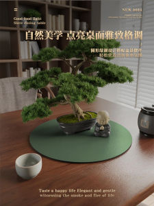 round Leather Plant Pot Mat Office Desktop Protective Pad Waterproof Dustproof Sunproof Green Plant Mat Non-Washable Home Decor