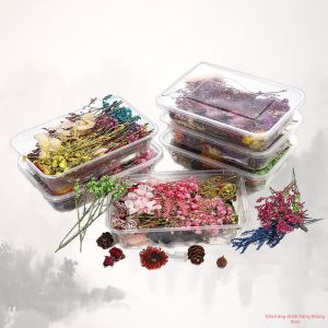 Handmade Preserved Flowers Decoration Dry Flower Craft Materials