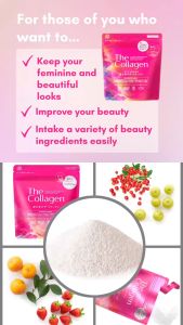 Shiseido The Collagen 资生堂胶原蛋白粉 126g