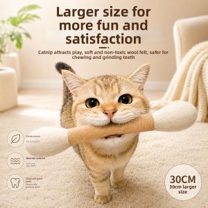 GUOQI | Teasing Play Wand For Cats Durable Scratch Resistance