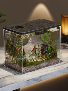 WUBUWEI | Eco-Design Desktop Aquarium Fish Tank