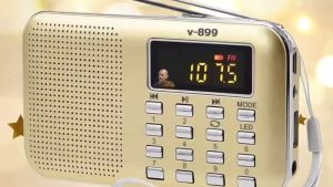 วิทยุธรรมะ ฝากสมบูรณ์ เสียงอ่านพูดบูรณ์ ถวายพระภิกษุ สำหรับประชาสัมพันธ์ ผู้ใหญ่ และของขวัญ ชุด 1