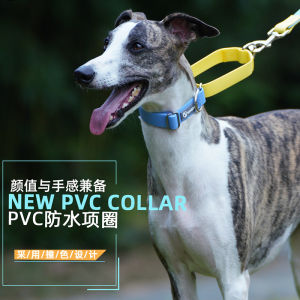 Waterproof Retractable Dog Leash Medium Large Pet Supplies for Greyhounds Whippets Prevent Choking Neck Ring Dog Harness