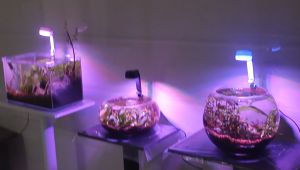 USB LED ตู้ปลา 3 สี รับการปรับความยาว และสี สำหรับการทรงกลมหรือเหลี่ยม