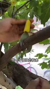 植物高压繁殖盒 Root growing boxes Rooting Boxes for Trees High Pressure Plant Rooting Device Reusable Plant Rooting Apparatus