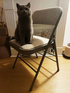 MU FENG ZHI NAN | Folding Comfortable Backrest Chair