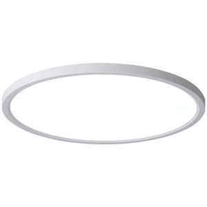 PAIMIJI | Antifog And Insect Resistant Ceiling Light
