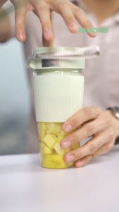 SAMONO SWY9 SW-Y9 Blender Juicer Portable USB 6 Mata Pisau Samono 350ML