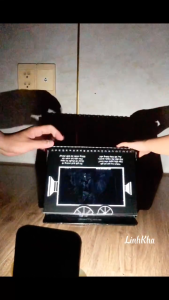 Sách chiếu bóng Đinh Tị - Cinema book - Rạp chiếu phim trong sách - Động vật hoang dã