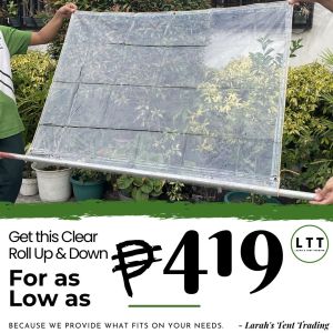4x8ft Transparent Roll Up & Down PVC Trapal | Heavy Duty Waterproof Clear Tarpaulin with Eyelets for Outdoor Protection